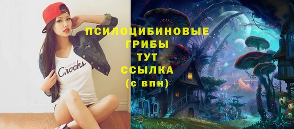 мдпв Арсеньев