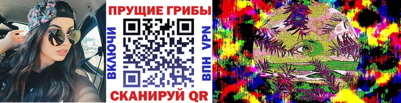 Галлюциногенные грибы прущие грибы  где купить   Балтийск 
