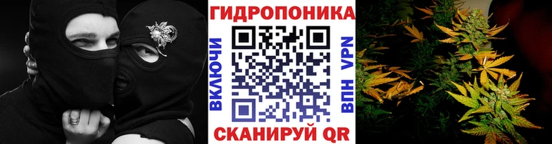 МАРИХУАНА гибрид  Балтийск 